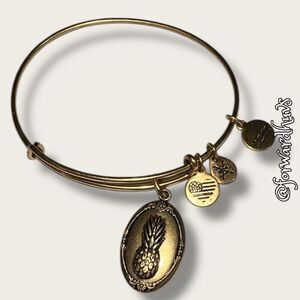 Bundle Sale 3 for $15 | Alex and Ani + Energy with Pineapple Charm